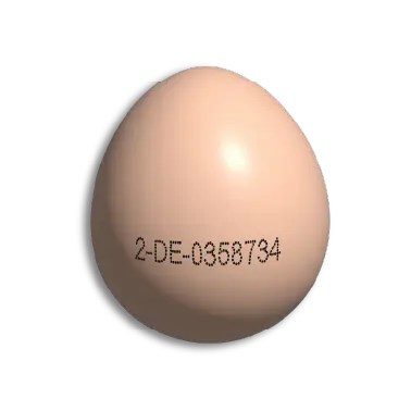 Date Coding on Eggshells     