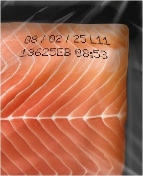 Marking and Coding Solutions Meat, Poultry and Seafood Industry