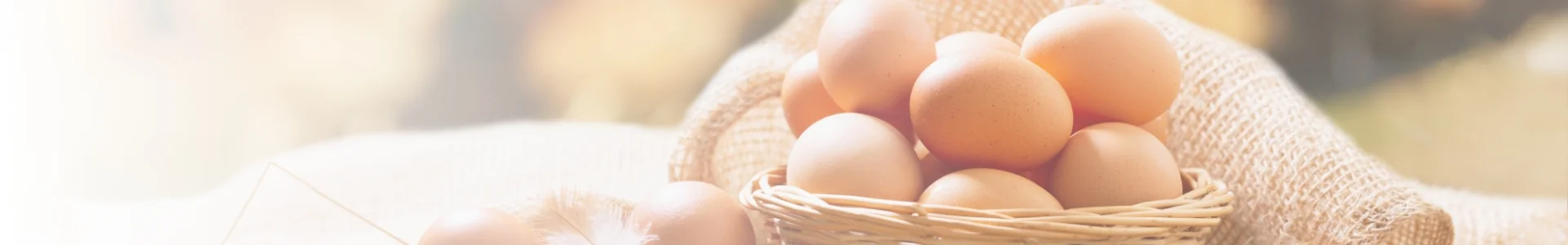 Marking & Coding Solutions for Egg Cartons and Egg Shells