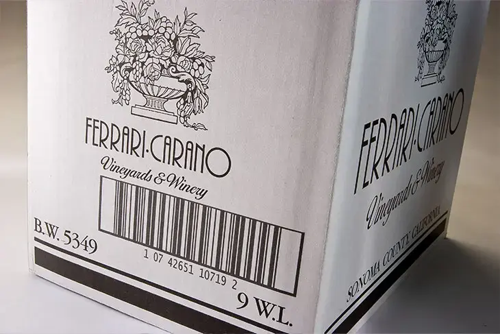 case-coding-printers-Packaging-Applications-4 Case Coding Printers Packaging Applications