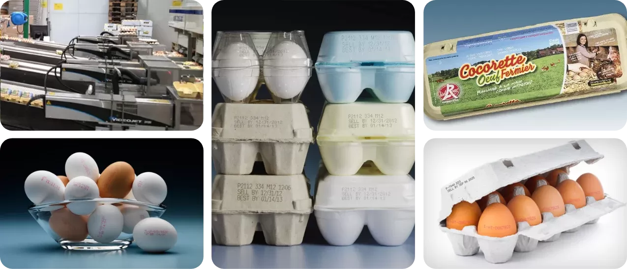 Marking & Coding Solutions for Egg Cartons and Egg Shells Marking & Coding Solutions for Egg Cartons and Egg Shells